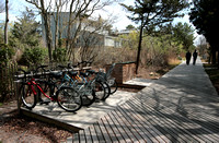 Bicycle Parking and Thoroughfare, Saltaire, Fire Island, NY